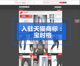 12类运输工具用品商标转让,商标知识产权专属服务咨询