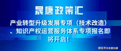 晟唐孵化器 产业转型升级发展专项 知识产权运营服务体系专项报名即将开始